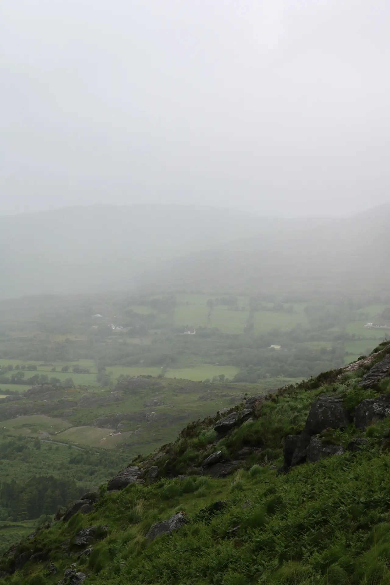 A green valley in the mist